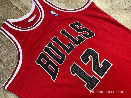 Men's Michael Jordan Red Retro Classic Team Jersey
